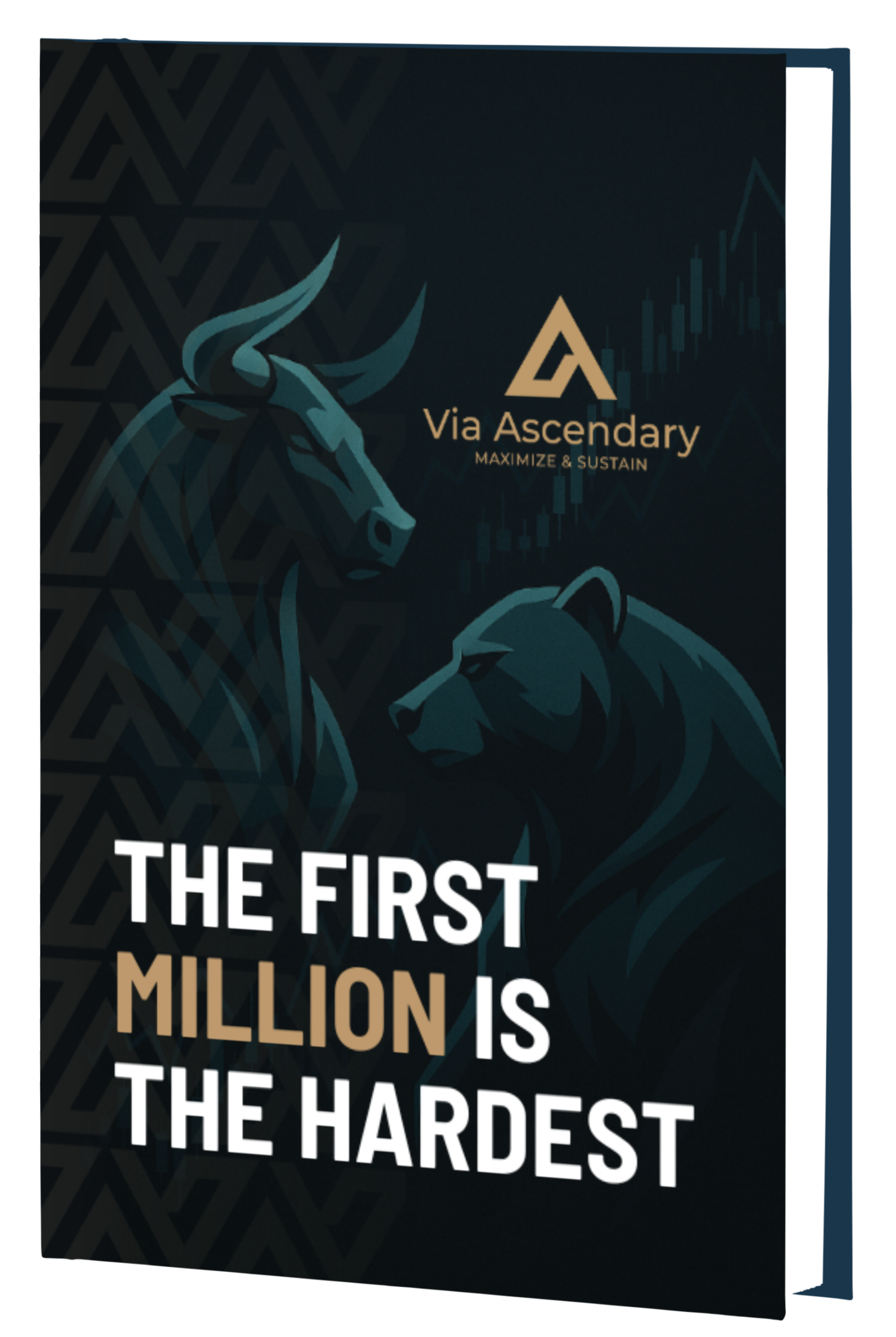 Ebook 3